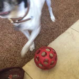 Meet your Posher, Laurel